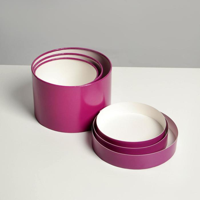 Набор шляпных коробок 3 в 1 фиолетовый, упаковка подарочная, 16 х 10, 14 х 9, 13 х 8,5 см Набор шляпных коробок 3 в 1 фиолетовый, упаковка подарочная, 16 х 10, 14 х 9, 13 х 8,5 см