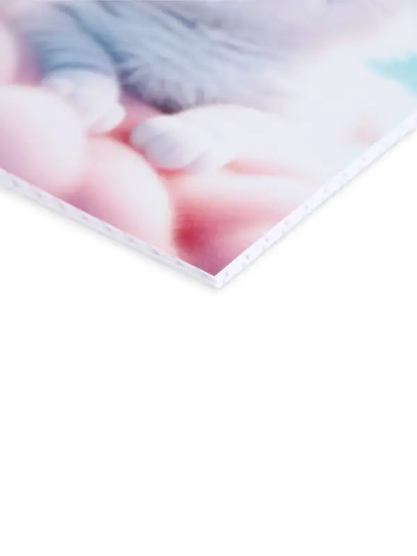 МИКС Блокнотов А6, 24 листа, в клетку "Пушистики"