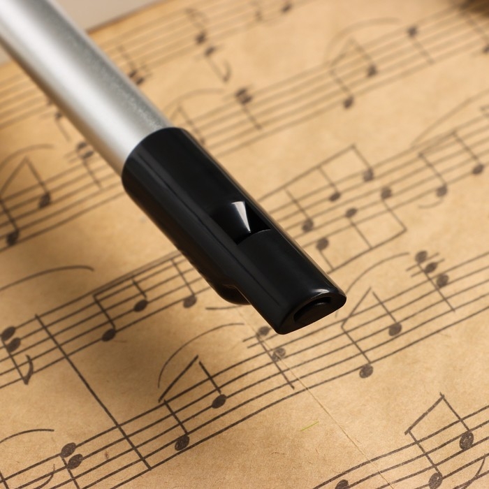 Флейта Music Life Е, серебристая, 27,5 см Флейта Music Life Е, серебристая, 27,5 см