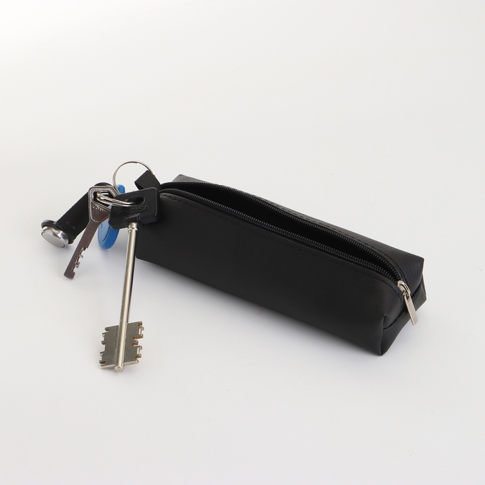 Ключница на молнии, длина 16 см, кольцо, карабин, цвет чёрный Ключница на молнии, длина 16 см, кольцо, карабин, цвет чёрный
