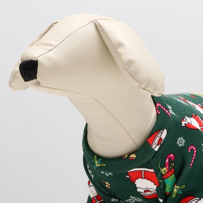 Новый год. Кофта новогодняя для животных  Новый год. Кофта новогодняя для животных "Подарки", размер S, зелёный (ДС 26, ОШ 22, ОГ 34 см)