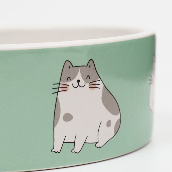 Миска керамическая  Миска керамическая "Котяры" 300 мл  12,5 x 4,5 cм, бело-зелёная