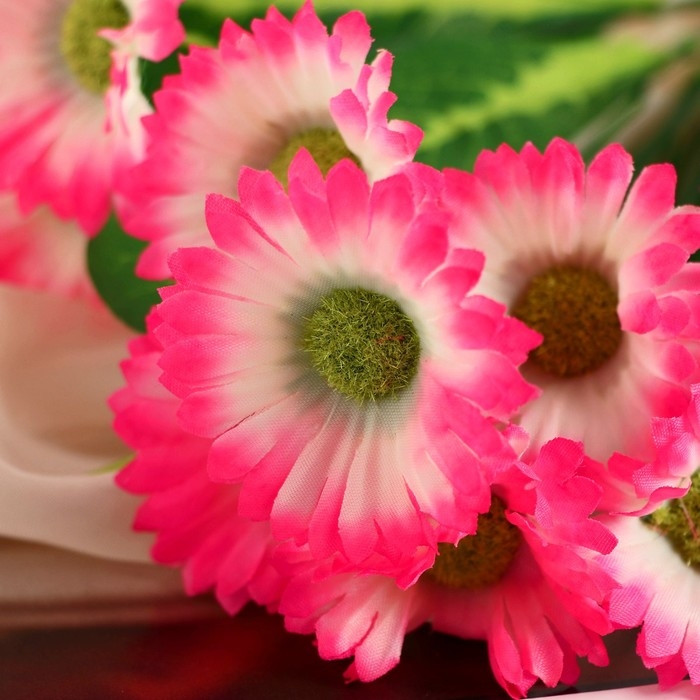 Букет Букет "Анемоны махровые" 4х31 см, микс