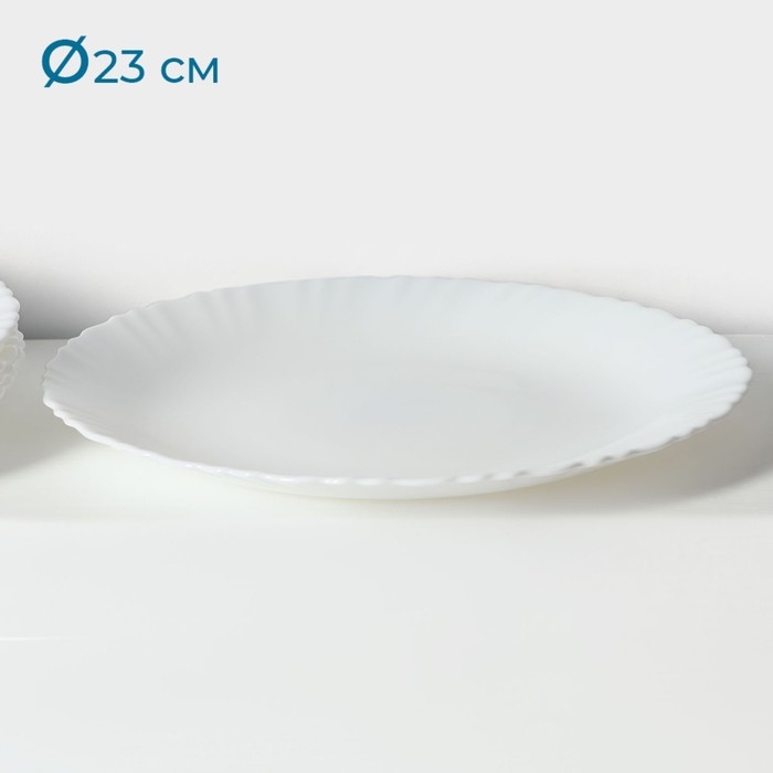 Набор обеденных тарелок «Дива», d=23 см, 6 шт, стеклокерамика, цвет белый Набор обеденных тарелок «Дива», d=23 см, 6 шт, стеклокерамика, цвет белый