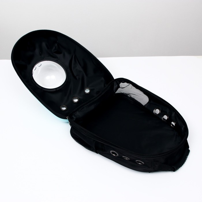 Рюкзак для переноски кошек  Рюкзак для переноски кошек "Гламуррр", с окном для обзора, 32 х 25 х 42 см, голубой