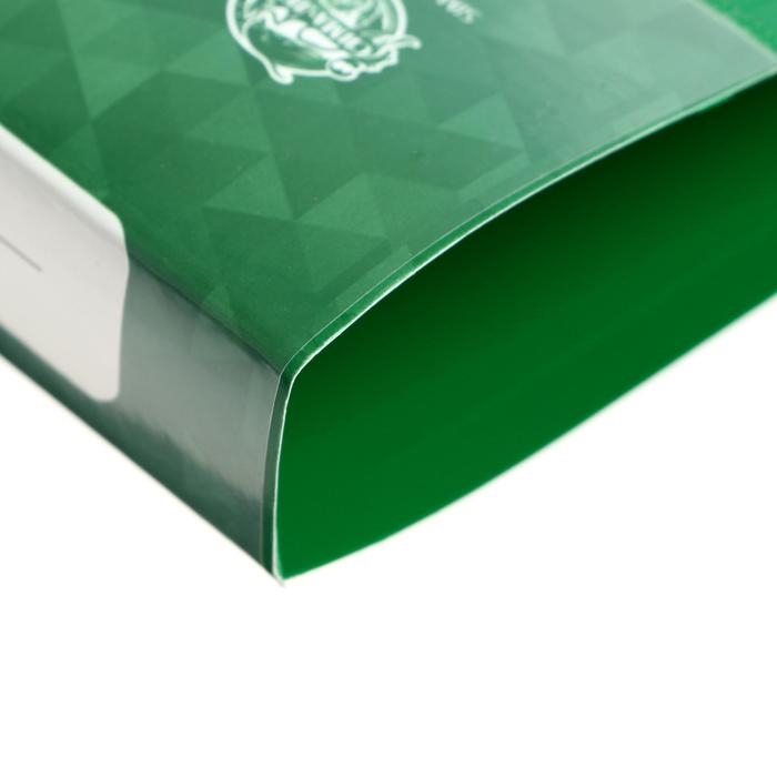 Папка на 2 кольцах А4, Calligrata, 27 мм, 700 мкм, внутренний и торцевой карман, зеленая Папка на 2 кольцах А4, Calligrata, 27 мм, 700 мкм, внутренний и торцевой карман, зеленая