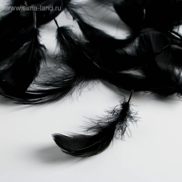 Наполнитель для шаров и подарков, упаковка, «Волшебство» , 15 х 11 см Наполнитель для шаров и подарков, упаковка, «Волшебство» , 15 х 11 см