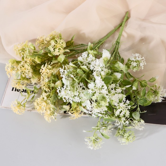 Букет Букет "Лабазник таволга" 33 см, микс