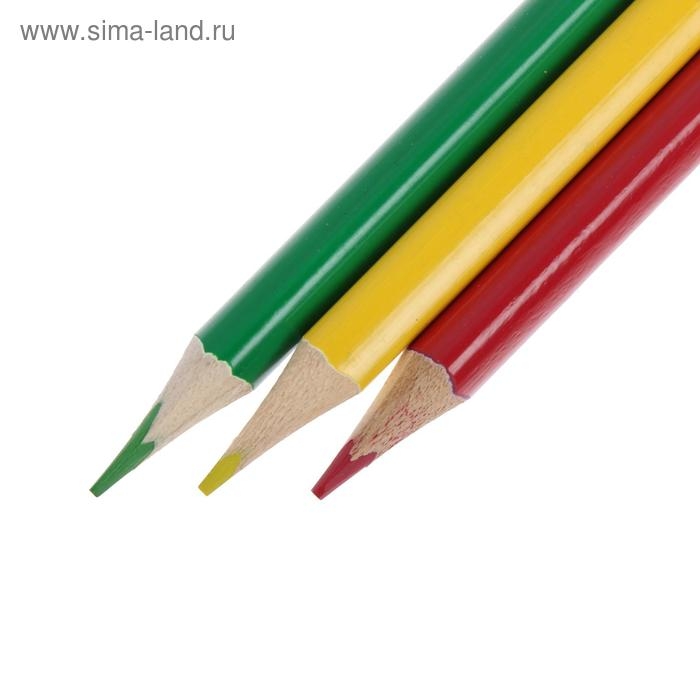 Карандаши двусторонние, заточенные, 12 штук, 24 цвета, корпус треугольный, деревянный, в картонной коробке Карандаши двусторонние, заточенные, 12 штук, 24 цвета, корпус треугольный, деревянный, в картонной коробке