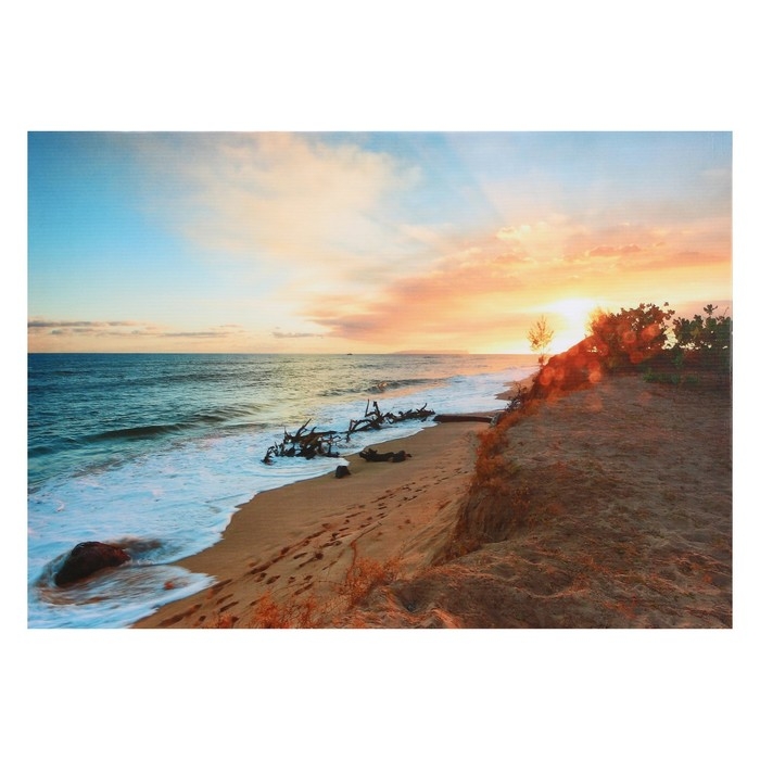 Картина Картина "Пляж" 50*70 см