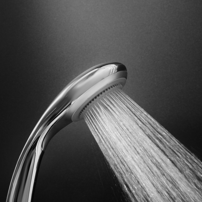 Душевая лейка ZEIN Z0111, 1 режим, d=80 мм, пластик, цвет хром Душевая лейка ZEIN Z0111, 1 режим, d=80 мм, пластик, цвет хром