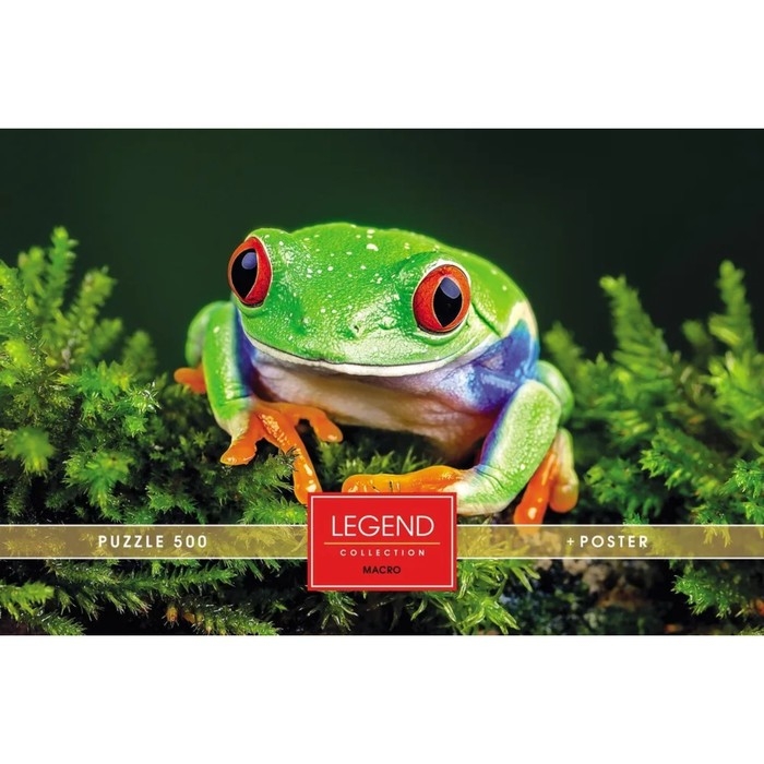 Пазлы «Царевна Лягушка» в подарочной коробке, 500 элементов + постер