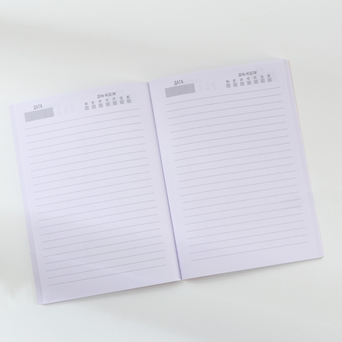 Ежедневник в тонкой обложке А5, 80 л «Почта» Ежедневник в тонкой обложке А5, 80 л «Почта»