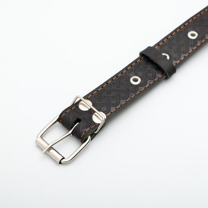 Ошейник комбинированный безразмерный, кожа/брезент, 65 х 3,5 см, ОШ 31-61 см, чёрный Ошейник комбинированный безразмерный, кожа/брезент, 65 х 3,5 см, ОШ 31-61 см, чёрный