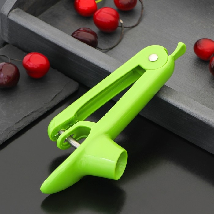 Удалитель косточки Доляна «Эдда», 20 см, цвет зелёный Удалитель косточки Доляна «Эдда», 20 см, цвет зелёный