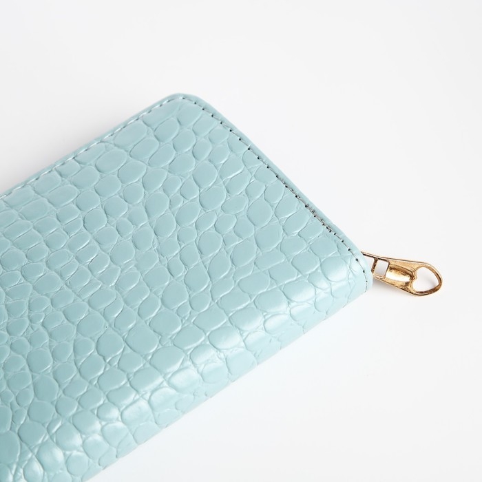 Кошелёк женский на молнии, цвет голубой Кошелёк женский на молнии, цвет голубой