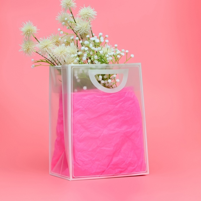 Пакет ПП с вырубной ручкой, прозрачный, 30 х 23 х 15 см, белый Пакет ПП с вырубной ручкой, прозрачный, 30 х 23 х 15 см, белый