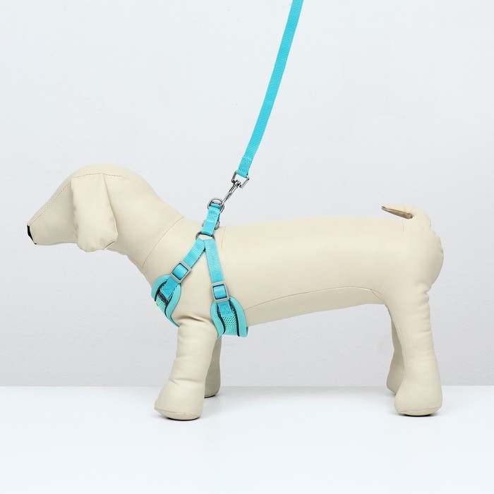 Комплект с мягкой шлейкой, быстросъемный, L, поводок 140 см, ОШ 49-56 см, ОГ 56-68 см, бирюзовый Комплект с мягкой шлейкой, быстросъемный, L, поводок 140 см, ОШ 49-56 см, ОГ 56-68 см, бирюзовый