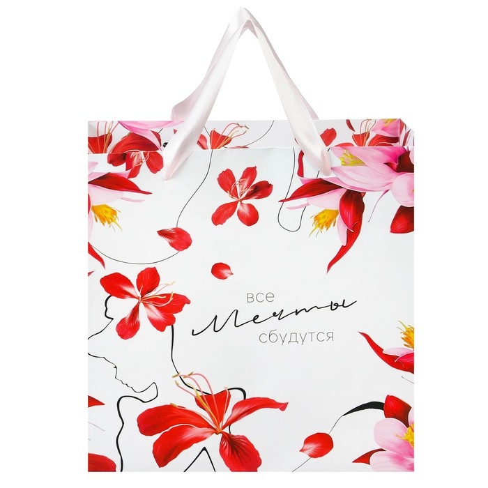 Пакет подарочный "Мечты сбудутся" 22х22х11 см, упаковка, Принцессы