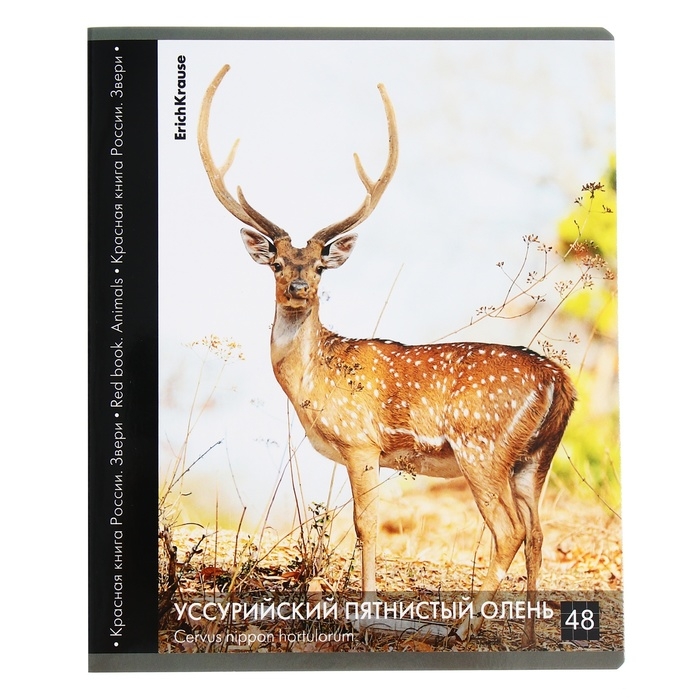 Тетрадь 48 листов в клетку, ErichKrause Тетрадь 48 листов в клетку, ErichKrause "Красная книга России. Звери.", обложка мелованный картон, глянцевая ламинация, блок офсет 100% белизна, МИКС