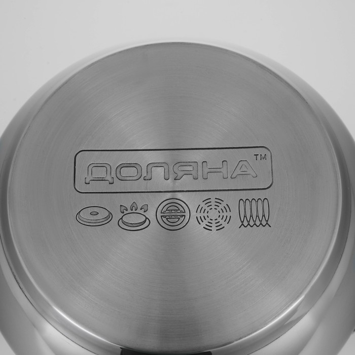 Кастрюля из нержавеющей стали Доляна «Вернер», 1,9 л, d=16 см, с крышкой Кастрюля из нержавеющей стали Доляна «Вернер», 1,9 л, d=16 см, с крышкой