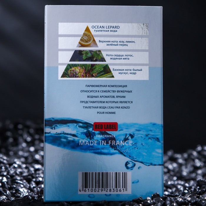 Туалетная вода мужская Ocean Lepard, 100 мл (по мотивам Kenzo L'Eaupar Pour Homme (Kenzo)