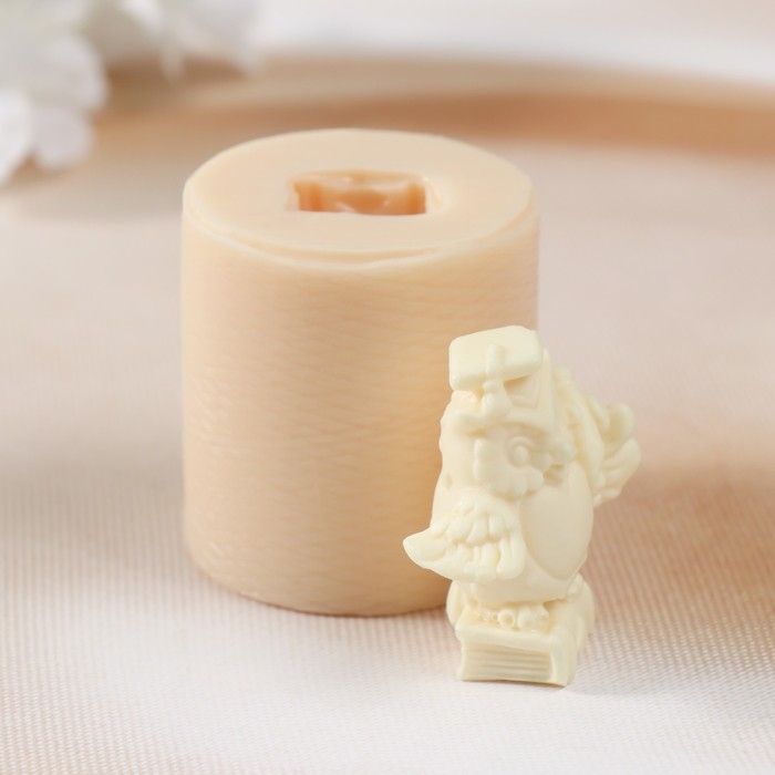 Молд силиконовый "Ученая сова №2" 4х4,2х4,2 см