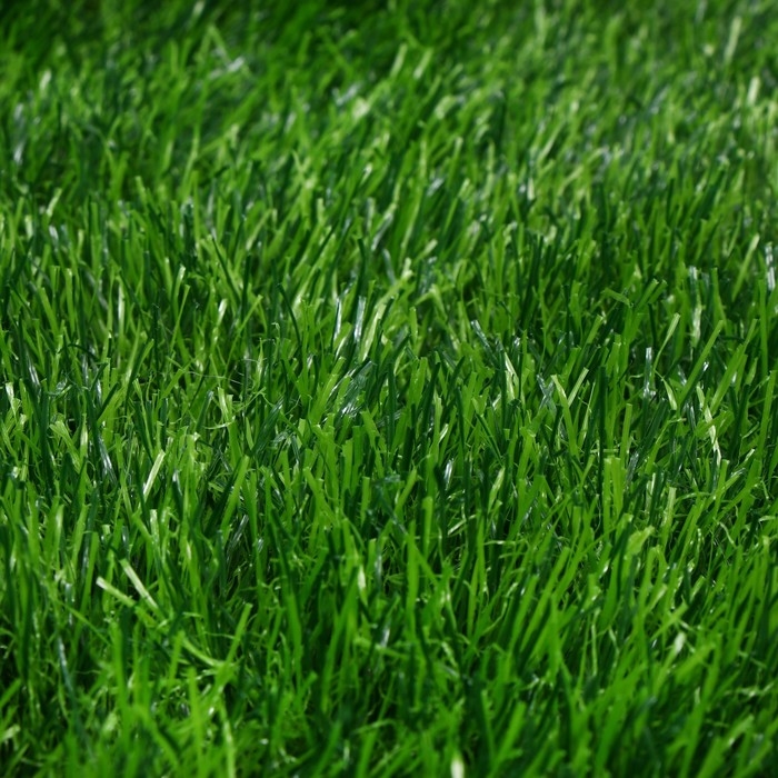 Газон искусственный, для спорта, ворс 50 мм, 1 × 2 м, зелёный, Greengo Газон искусственный, для спорта, ворс 50 мм, 1 × 2 м, зелёный, Greengo