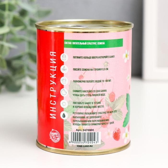 Растущий подарок травка "Земляника"