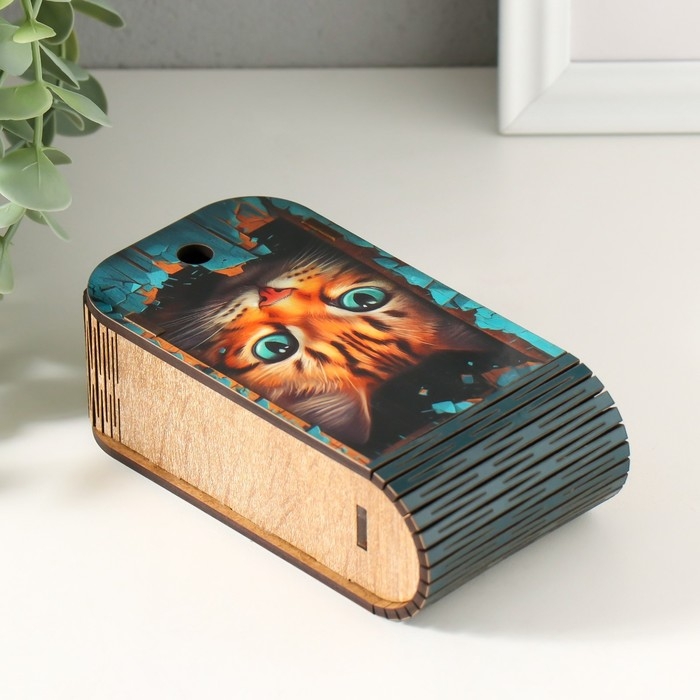 Шкатулка  Шкатулка "Котик" 13х7х4 см