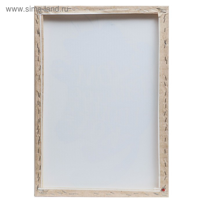 Картина на подрамнике 35х50 см Картина на подрамнике 35х50 см