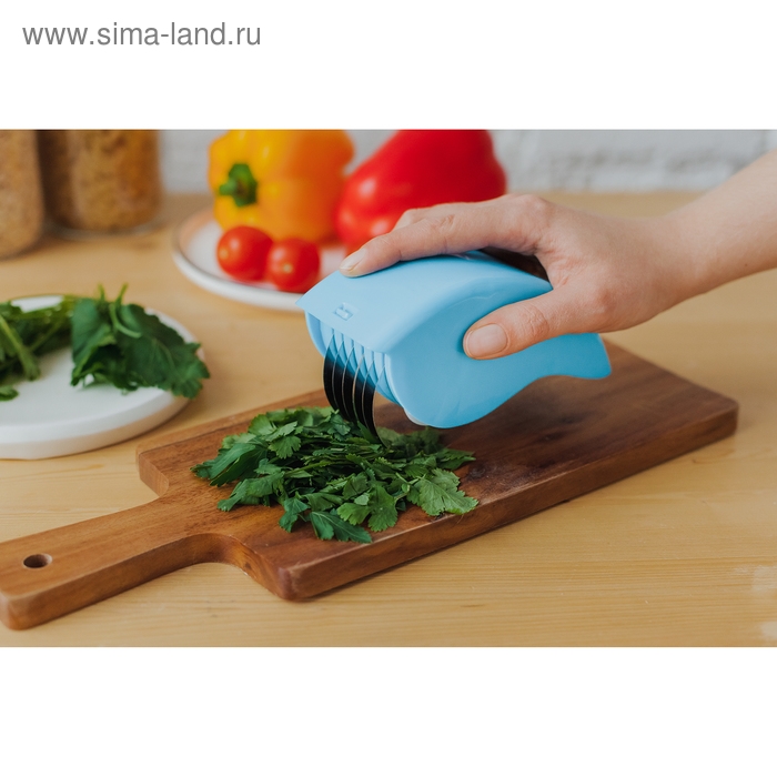 Измельчитель для зелени «Агат», 13×6 см, цвет МИКС Измельчитель для зелени «Агат», 13×6 см, цвет МИКС