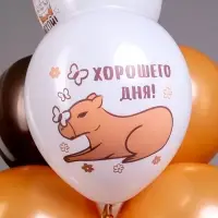 Воздушные шары латексные 12" &laquo;С днем рождения! Капибара&raquo;, 25 шт., МИКС