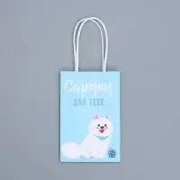 Пакет подарочный крафтовый, упаковка, &laquo;Сюрприз для тебя&raquo;, 15&times;10&times;6 см