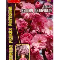 Семена цветов Сакура Вишня мелкопильчатая 5шт. / НОВИНКА  12.29 г.