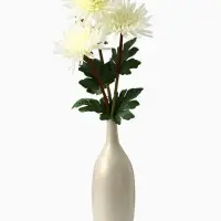 Цветы искусственные &laquo;Астра пионовидная&raquo;, 17&times;63 см, белые
