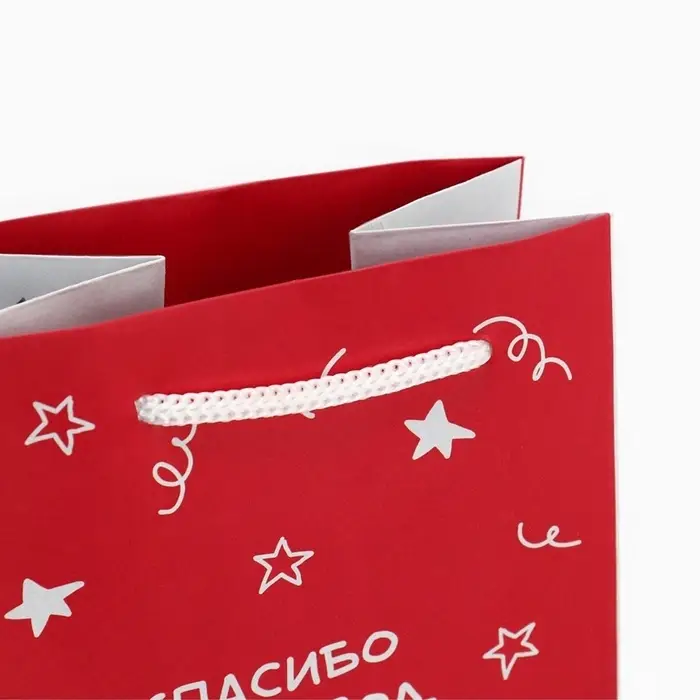 Пакет подарочный под бутылку, упаковка, &laquo;Гусь&raquo;, 36&times;13&times;10 см