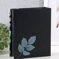 Фотоальбом "Нежность" 304ф 10X15см, ПП карм., 2ф на стр, черные страницы Фотоальбом "Нежность" 304ф 10X15см, ПП карм., 2ф на стр, черные страницы