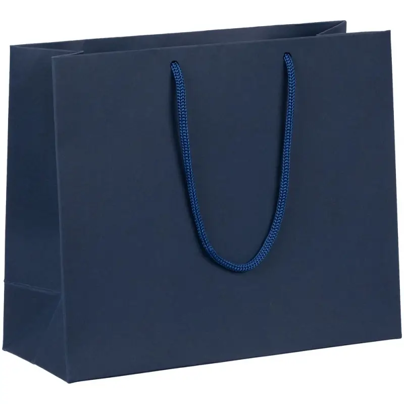 Пакет бумажный Ample Plus S, синий