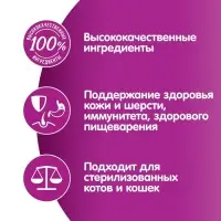 Влажный корм Whiskas для кошек, рагу с курицей, 75 г