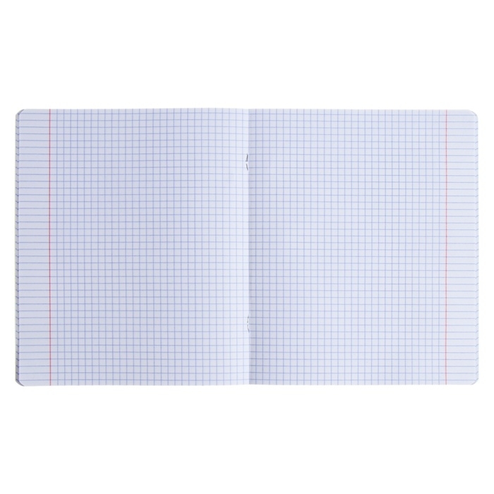 Комплект предметных тетрадей 48 листов, 12 штук, ErichKrause Комплект предметных тетрадей 48 листов, 12 штук, ErichKrause "Manga", мелованный картон, блок офсет белизна 100%, инфо-блок