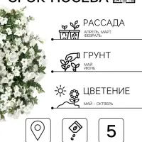 Семена цветов Петуния &laquo;Джоконда&raquo; F1, белая, 5 шт., Farao, &laquo;АЭЛИТА&raquo;