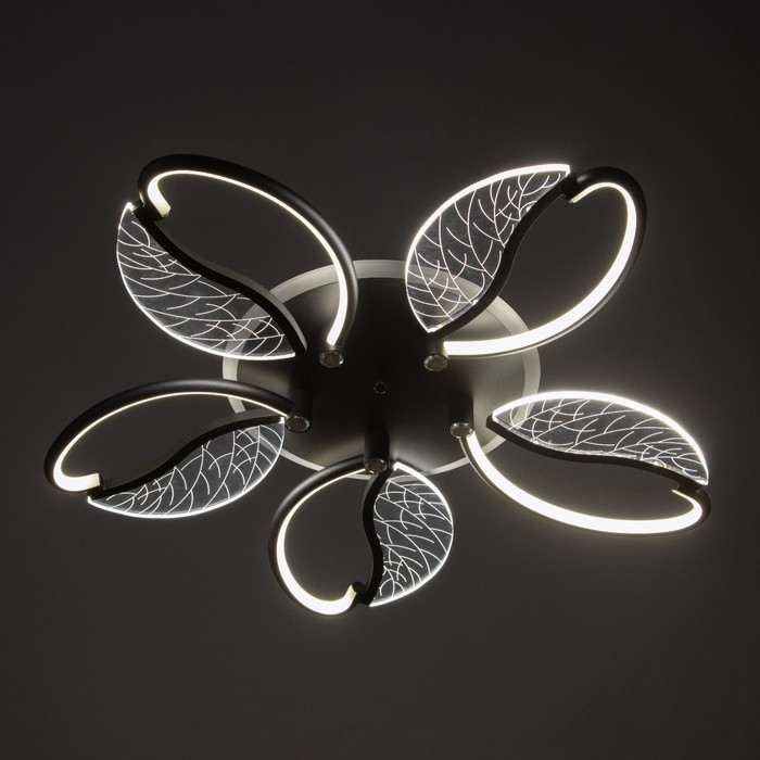 Люстра Люстра "Астрид" 5хLED 110Вт 3000-6000К RGB черный 65х65х8см