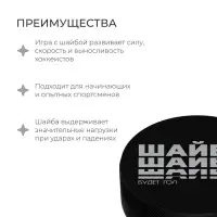 Шайба хоккейная Winter Star, взрослая, d=7.6 см