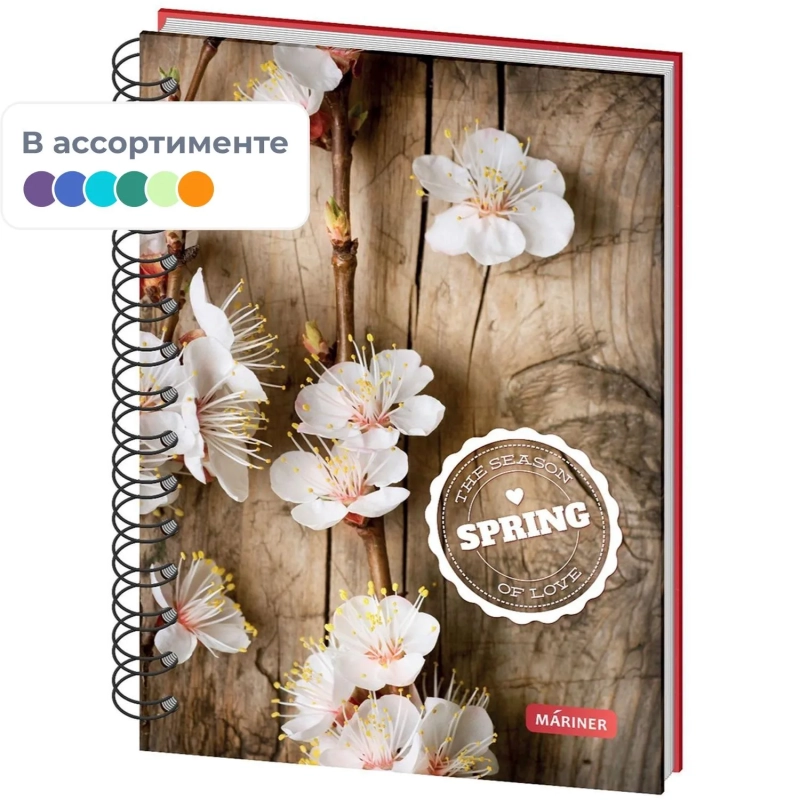 Бизнес-тетрадь Spring А5,120л, клетка, Mariner на спирали, 0018