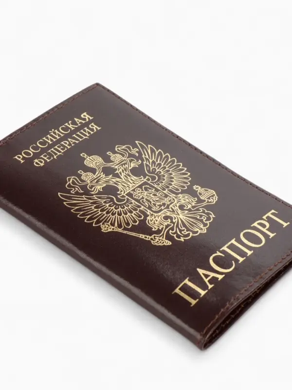 Обложка для паспорта, с гербом, с тиснением фольгой, гладкая, коричневая