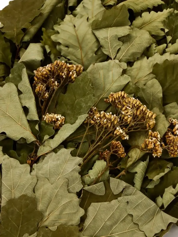Веник для бани дубовый, с тысячелистником