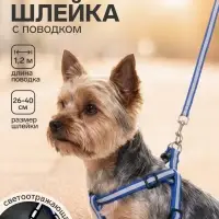 Комплект со светоотражающей лентой, ширина 1 см, поводок 120 см, шлейка 26-40 см, синий
