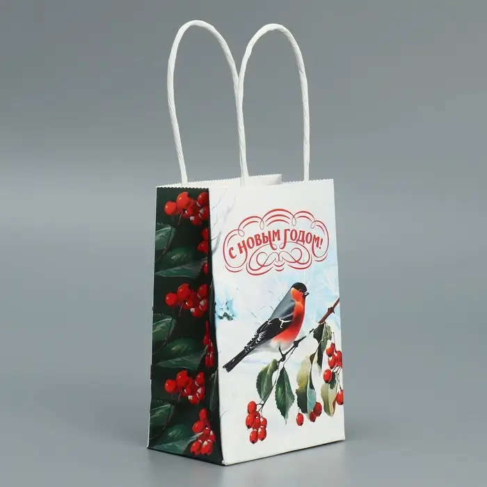 Пакет подарочный новогодний крафтовый «Зимушка», 15 х 10 х 6 см