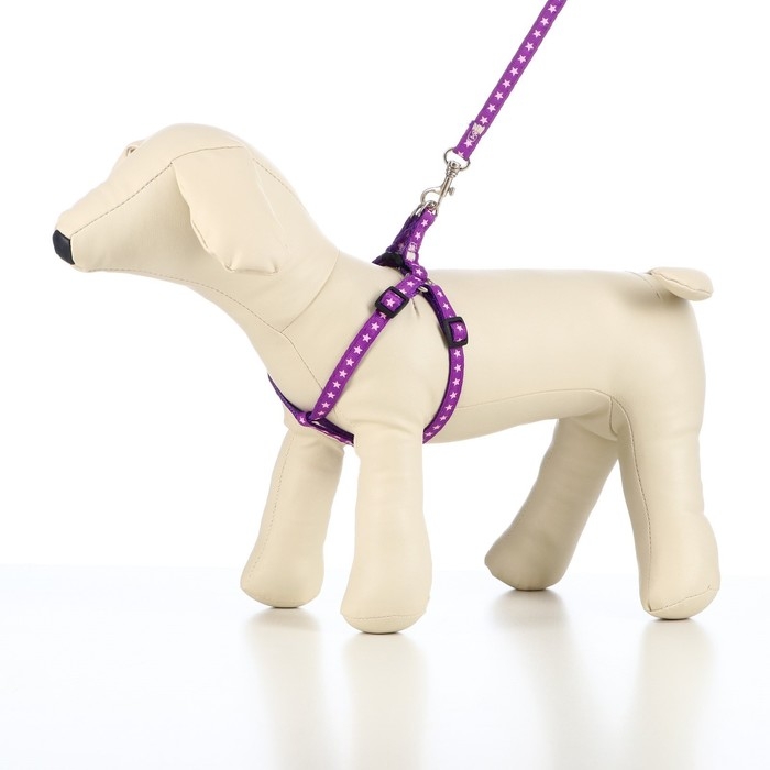 Комплект амуниции Комплект амуниции "Звёзды", ширина 1 см, поводок 120 см, шлейка 26-38 см, фиолетовый